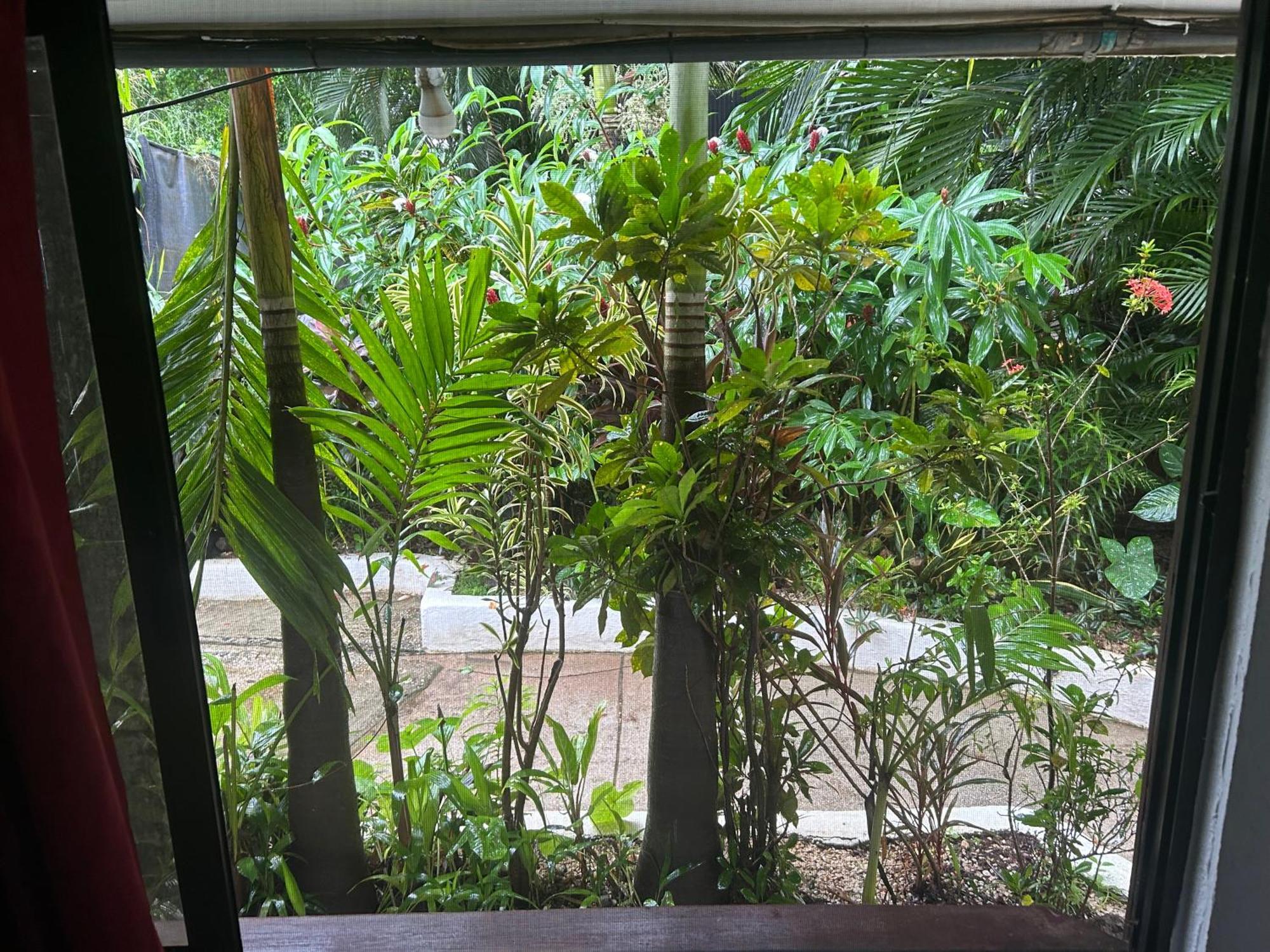 Pura Vida Hostel Tamarindo Exterior photo